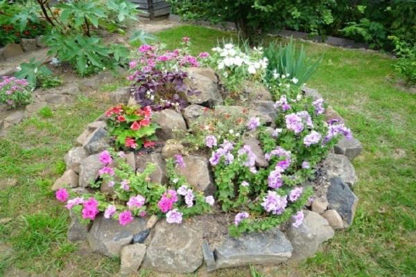 décoration de parterre de fleurs