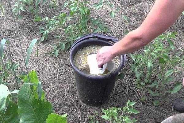 feeding in buckets