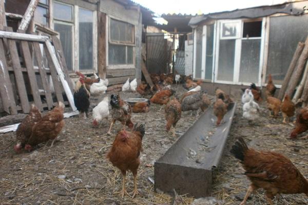 entretien de la ferme