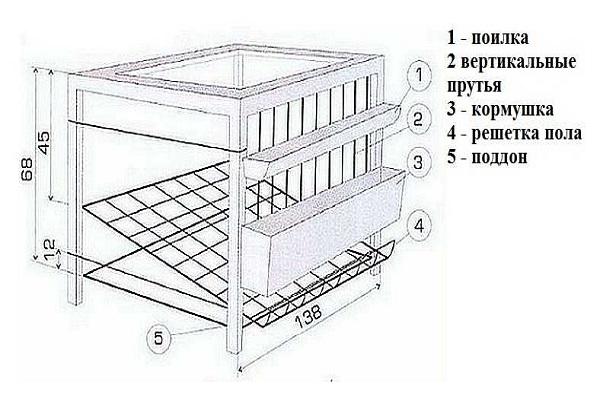 cell size