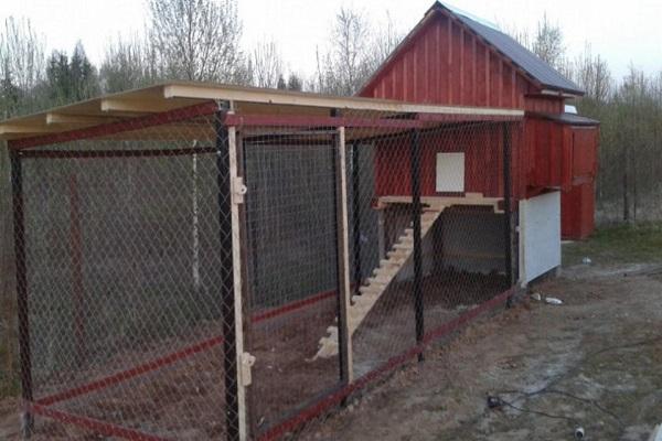 chicken coop in the yard