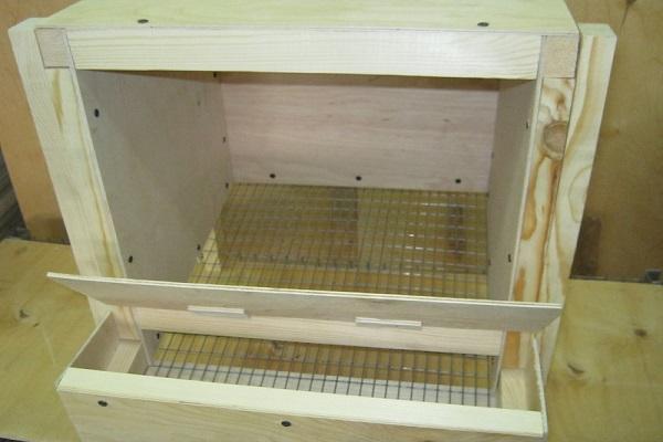 caja de huevos