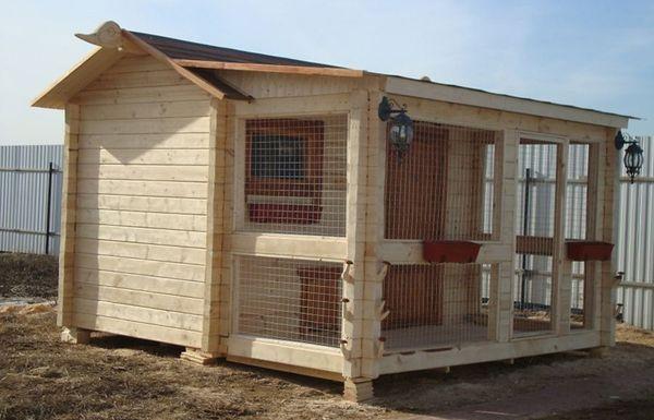 chicken coop in the yard