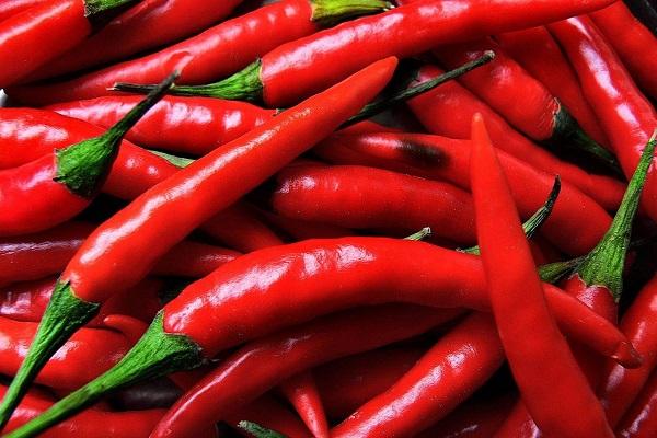 pimiento rojo