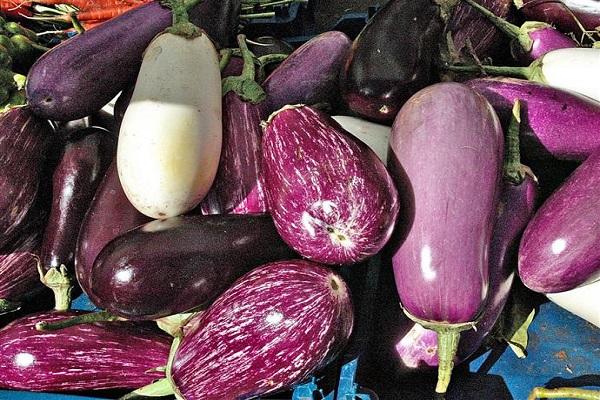 fresh eggplant