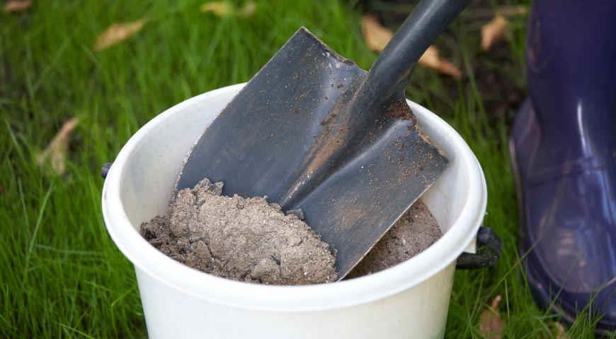 ash in a bucket