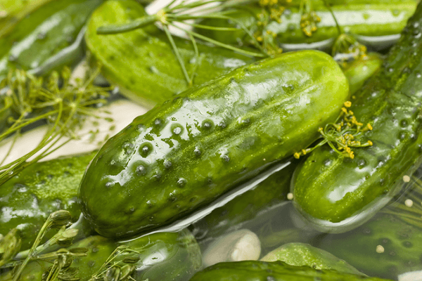 lightly salted cucumbers