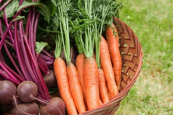 canasta de verduras