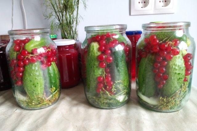 cucumbers with currants