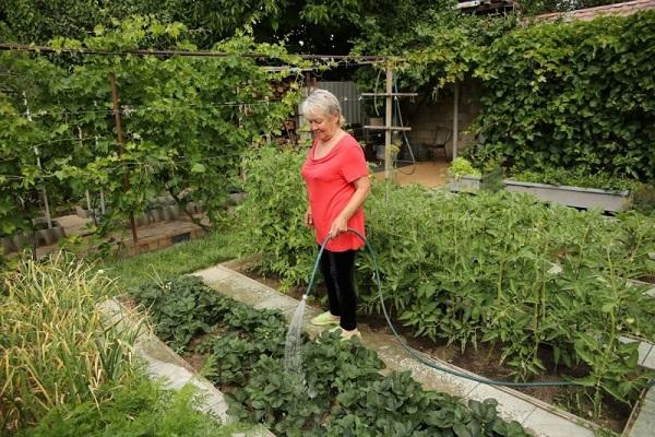 arrosage dans le jardin