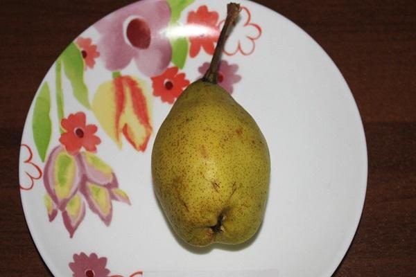 fruit on a plate