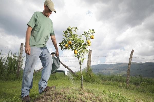 jardinero en riego