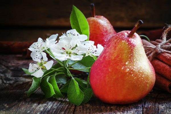 pear flower