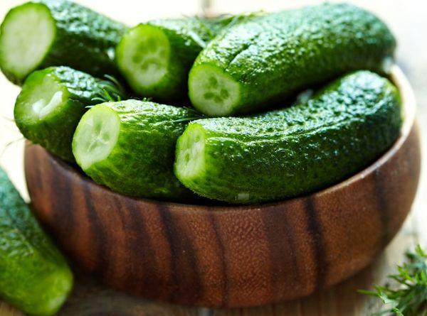 cucumbers for pickling