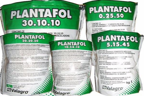 Plantafol powder