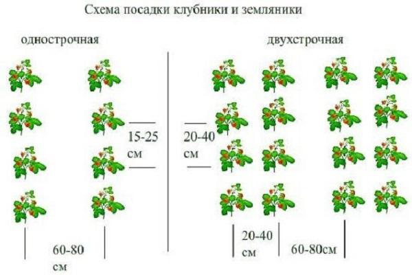 landing schemes