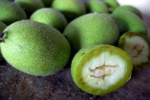 When and how to properly collect green walnuts, storage rules