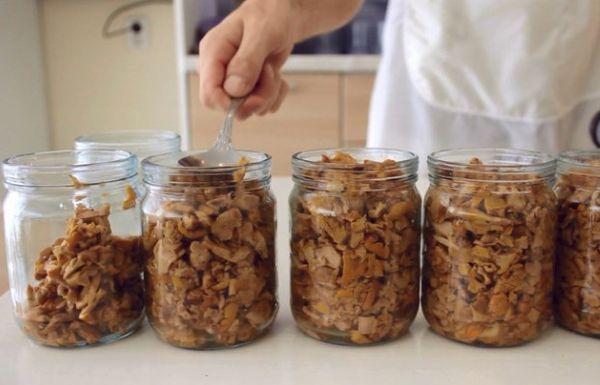 Champignons dans un autoclave