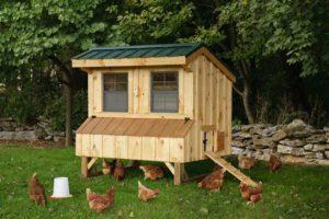 Instructions étape par étape sur la façon de faire un poulailler pour 10 poulets de vos propres mains