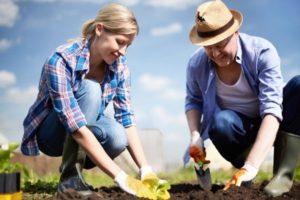 Calendrier lunaire de plantation de la plantation du jardinier pour juin 2020