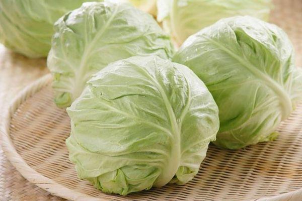 head of cabbage