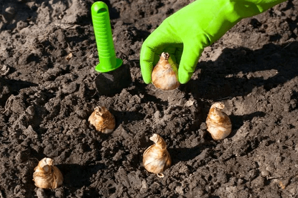 landen in de grond