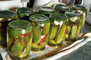 6 meilleures recettes de cornichons croustillants sans vinaigre