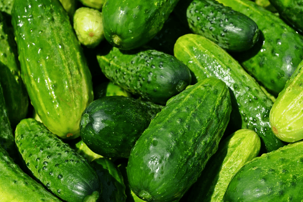 sweet cucumbers