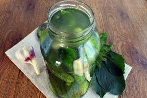 TOP 6 recipes for making pickled cucumbers with horseradish for the winter