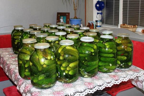 cucumbers in gelatin