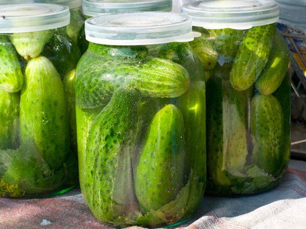 cucumbers in jars