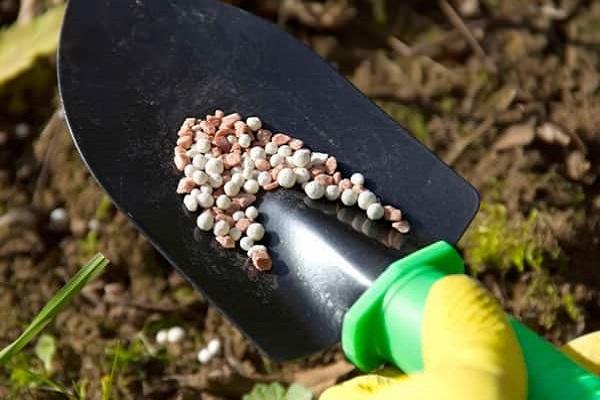 fertilizantes que contienen nitrógeno