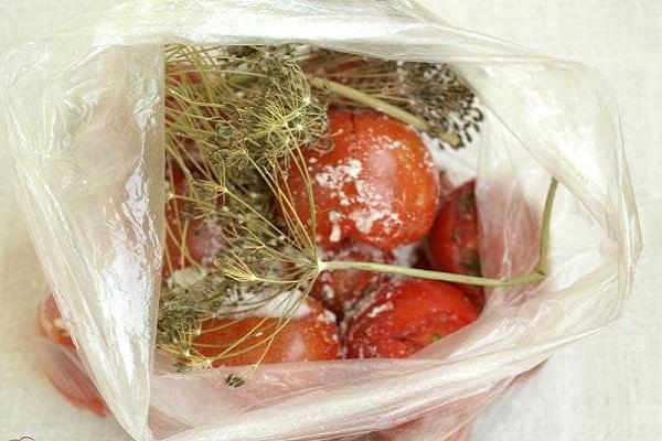 marinade in a bag