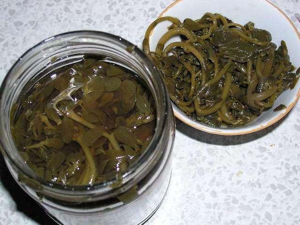 Verdolaga en escabeche