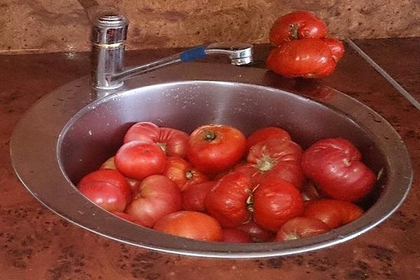 vegetables in the sink