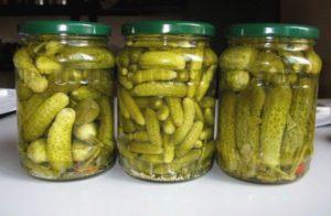 TOP 13 recipes for pickling crispy cucumbers for the winter in jars without vinegar