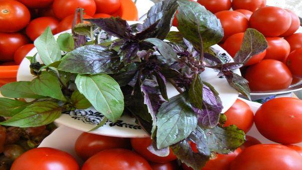 tomates aux herbes