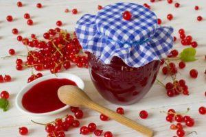 3 recipes for pitted red currant jelly for the winter