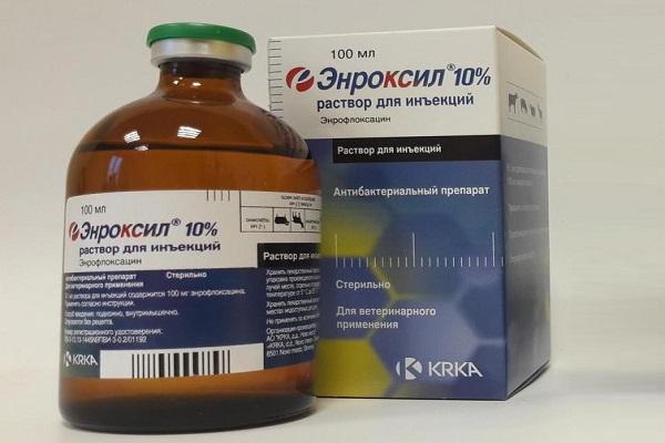 Droga Enroxil