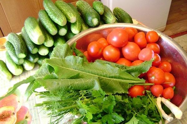 tomates dans un bol