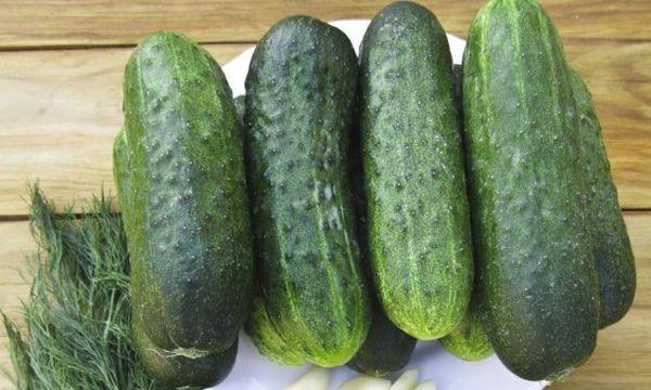 fresh cucumbers