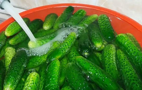 washing cucumbers