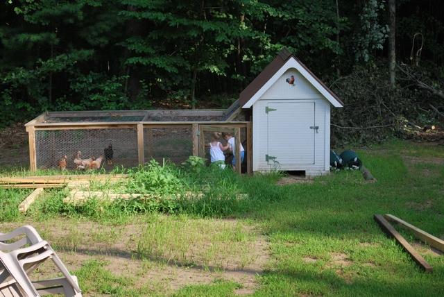 chicken coop in the country