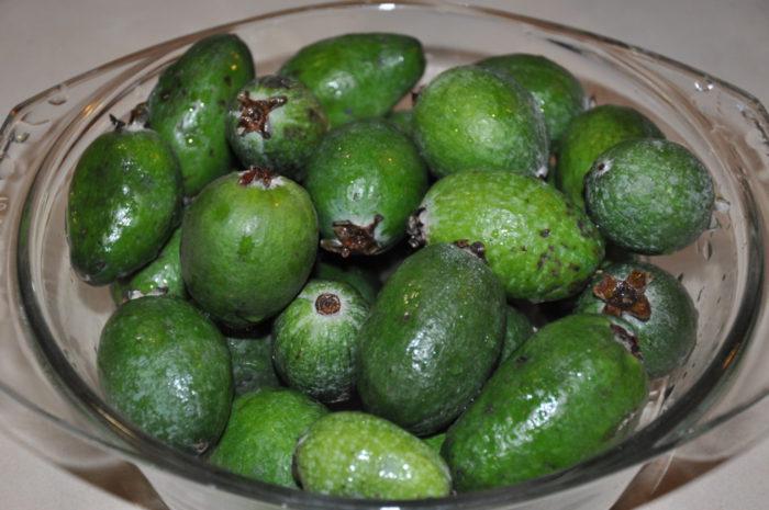 mermelada de feijoa