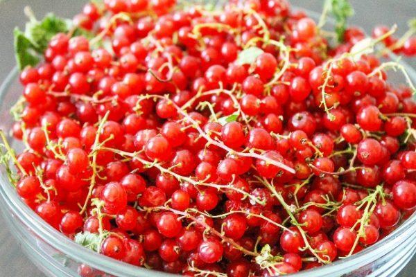 Red currants