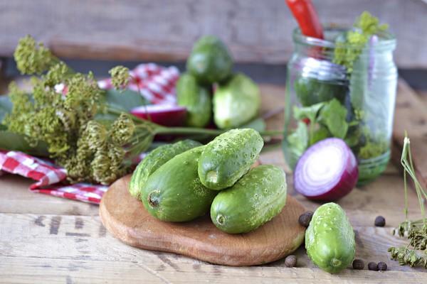 pepinos para el invierno