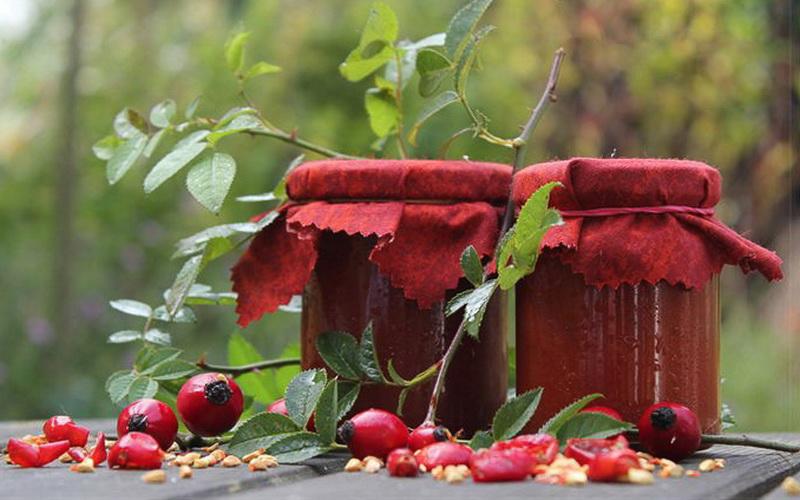 confiture d'églantier