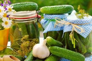 Recetas simples de pepinos vigorosos en escabeche para el invierno en frascos.