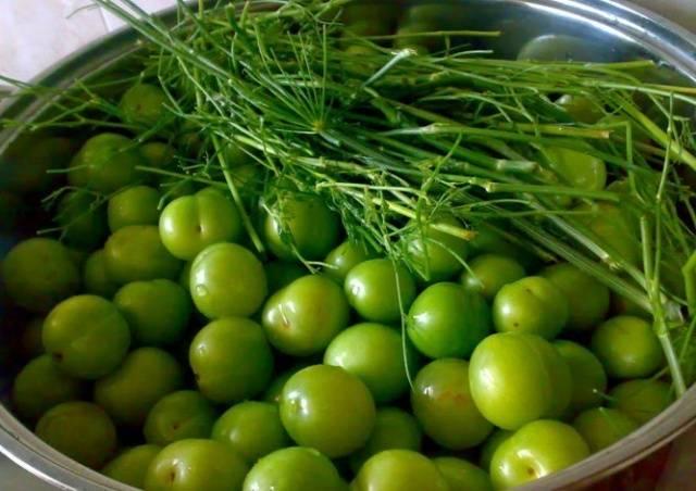 green cherry plum