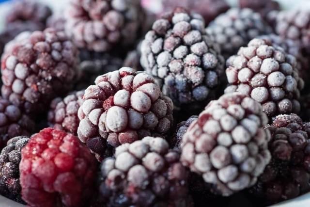 freezing blackberries